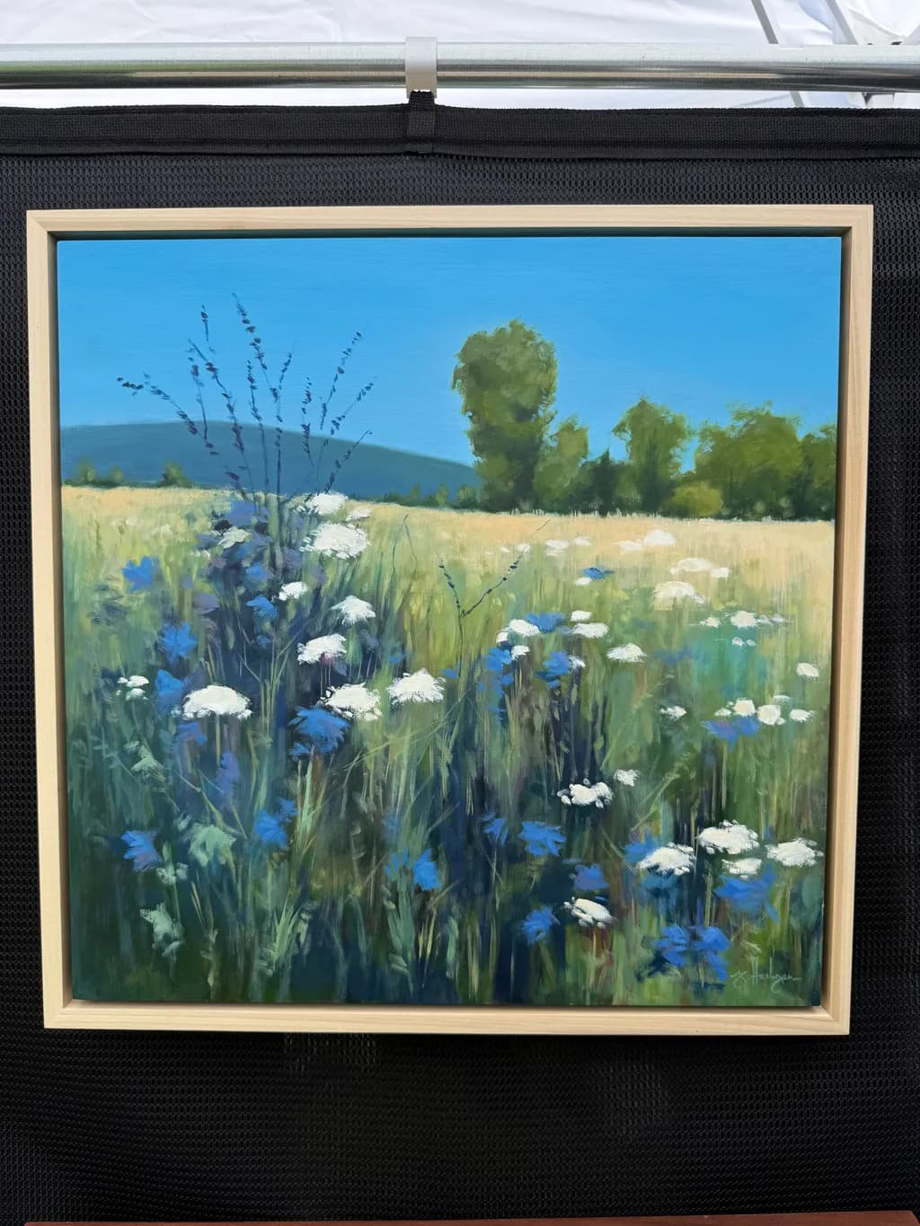 Meadow Bloom