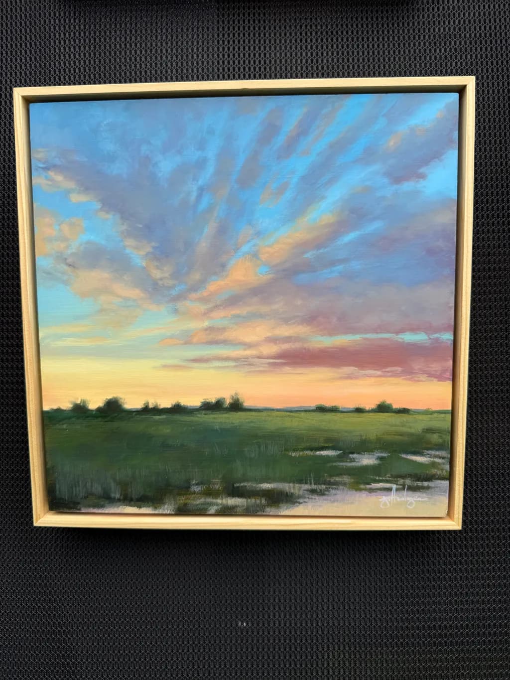 Evening Vista