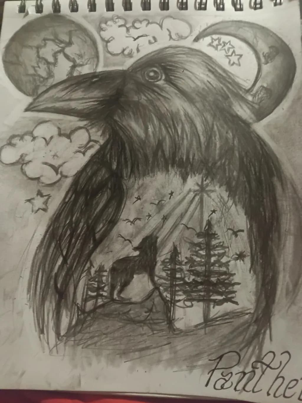 Shadowed Sentinel