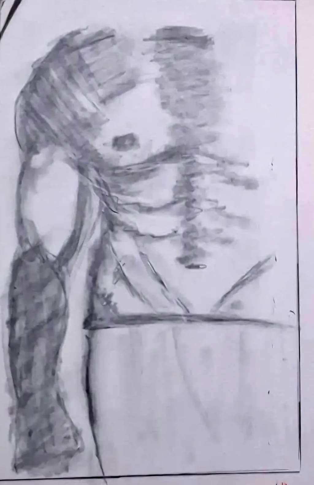 Torso Study