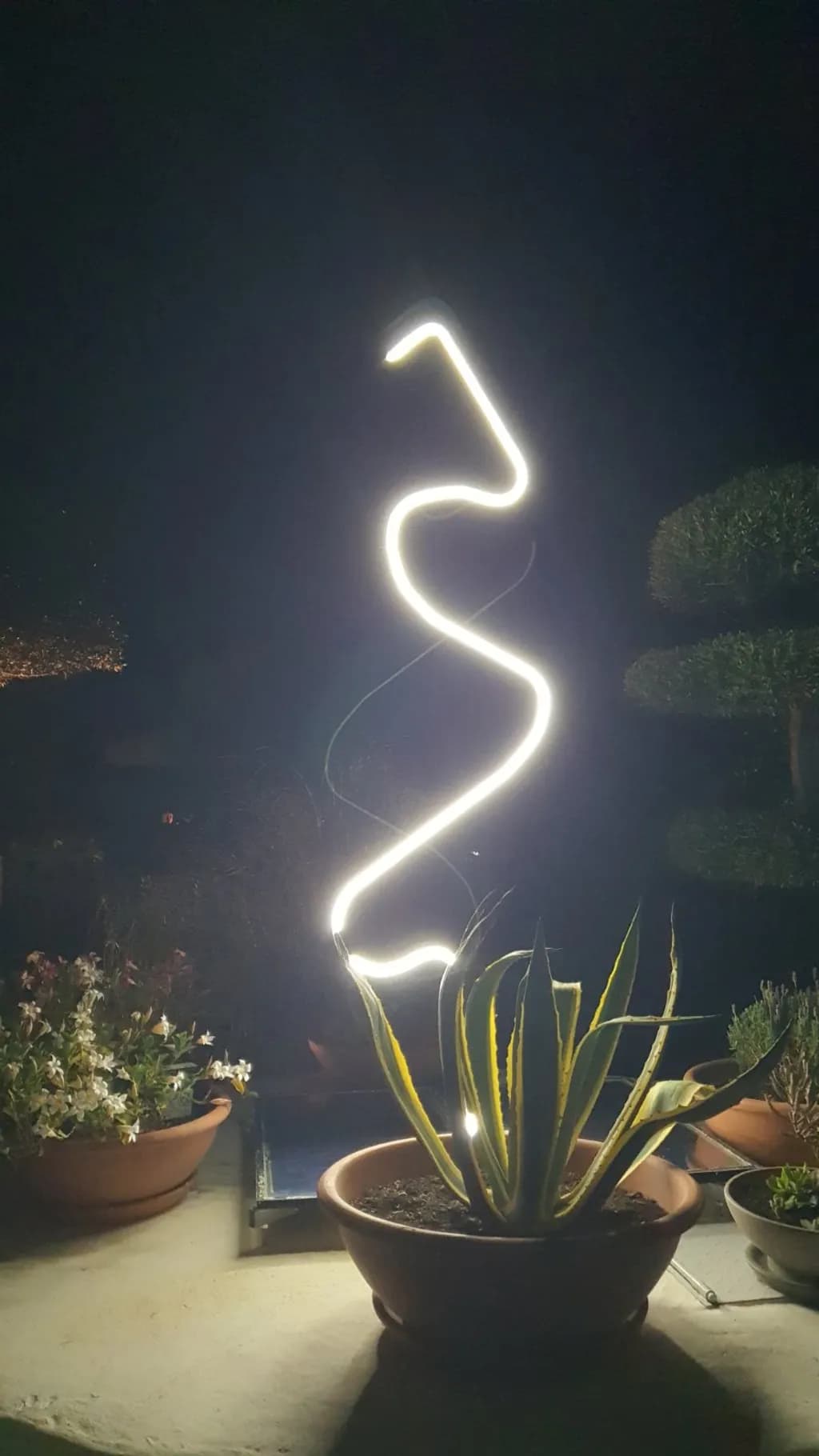Luminous Spiral