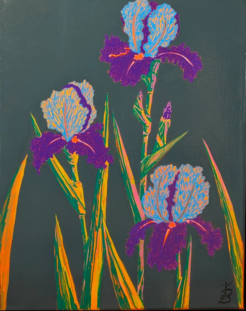 Iridescent Irises