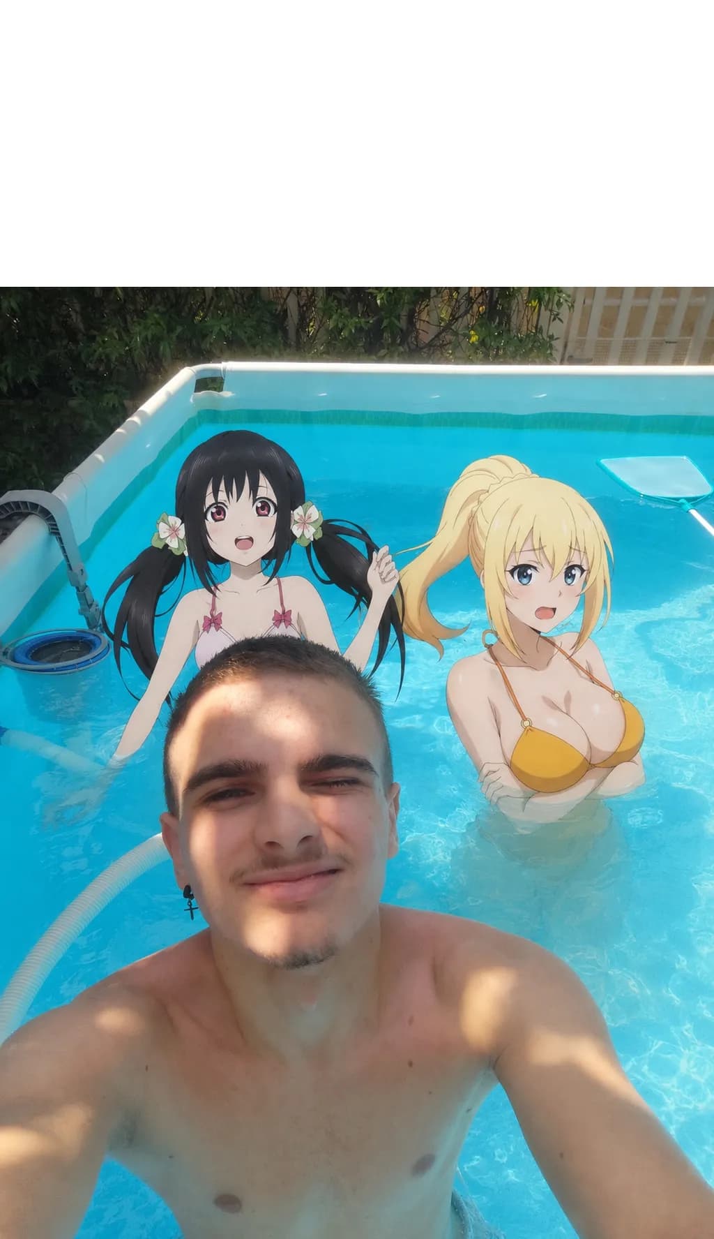 Poolside Companions