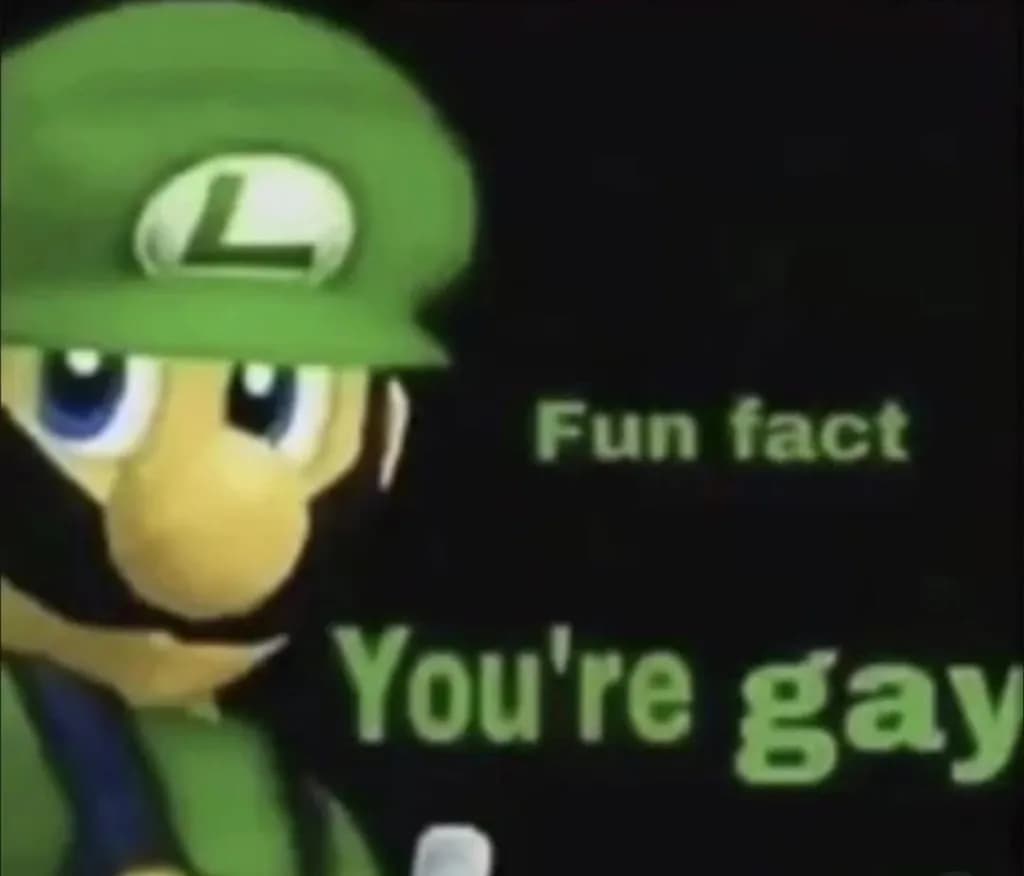 Luigi Fun Fact
