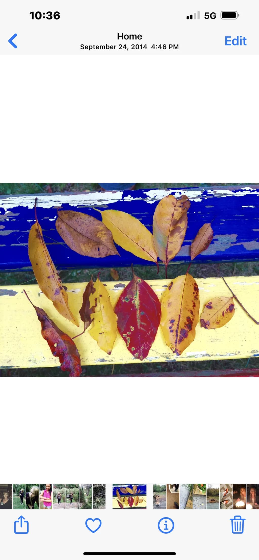 Autumn Spectrum