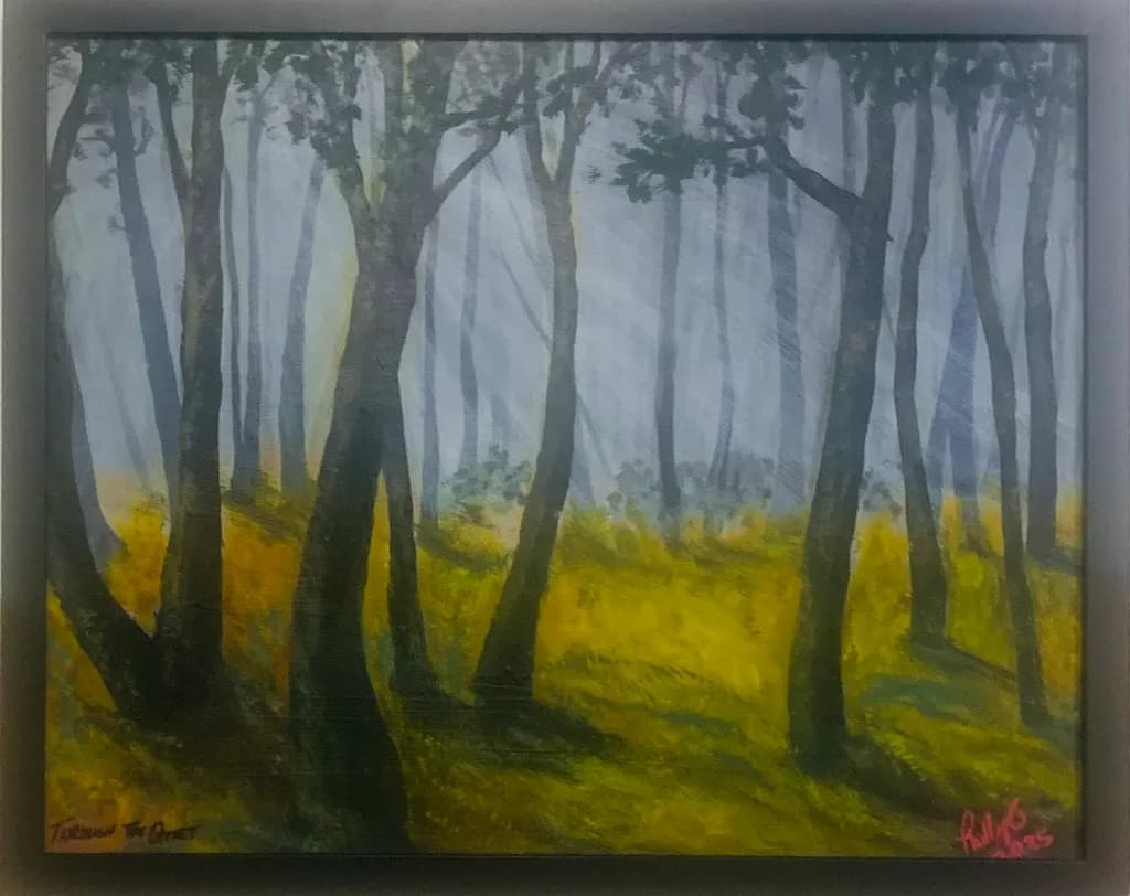 Misty Forest Light