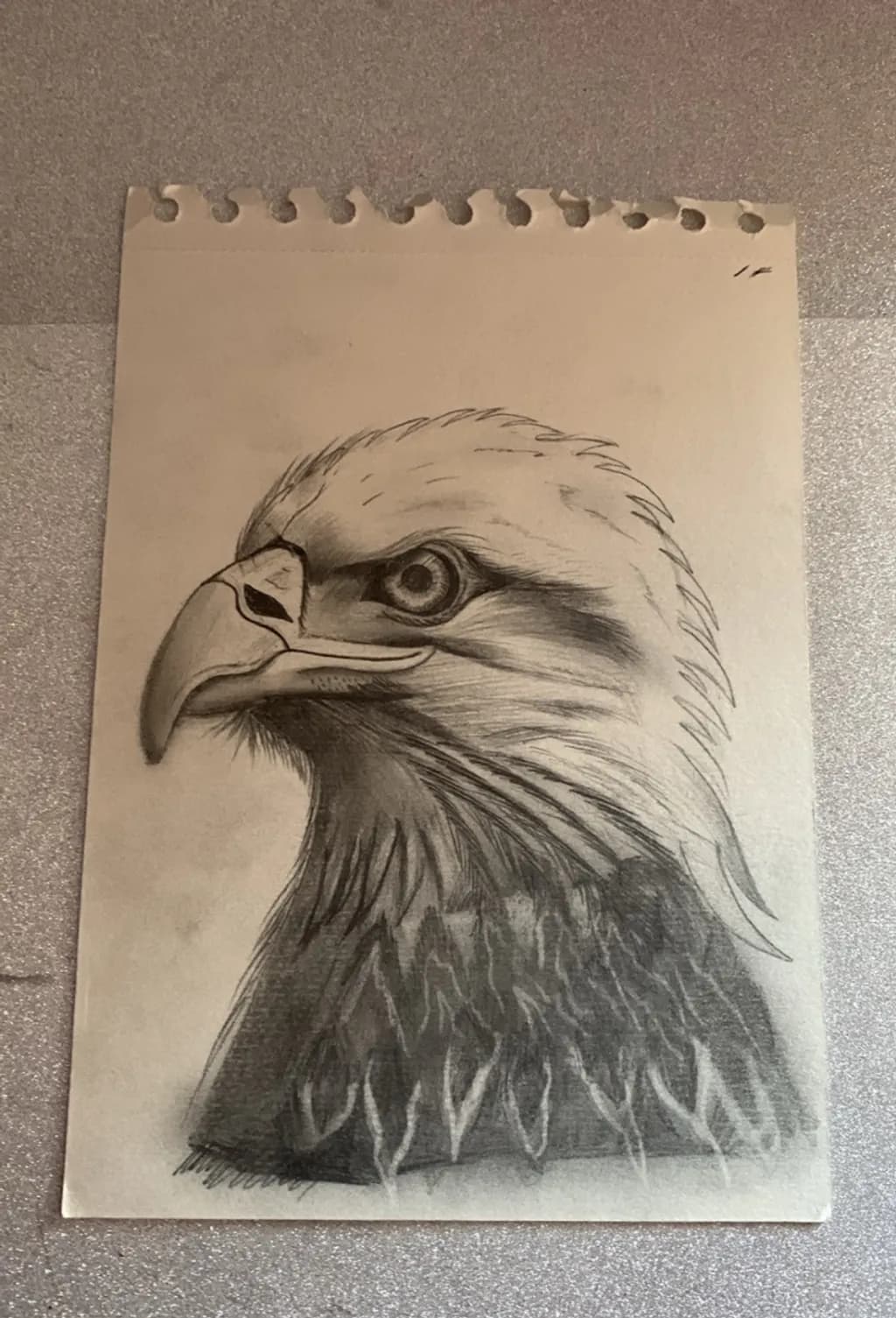 Regal Gaze