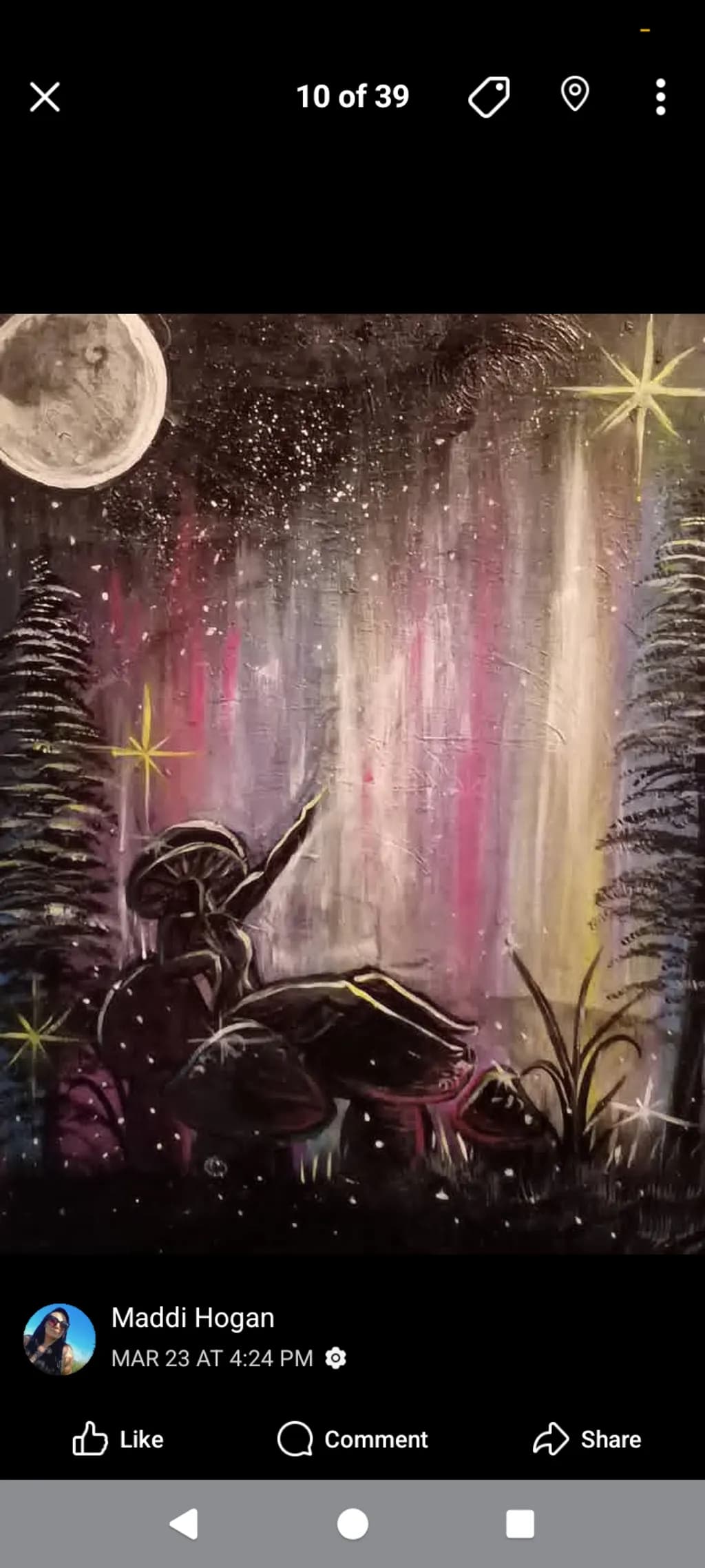Mushroom Moonlight