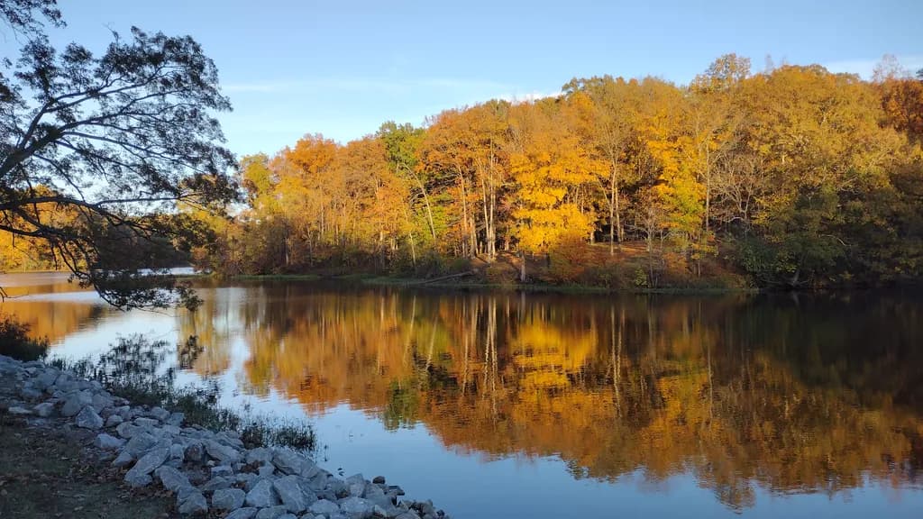 Autumn Reflection