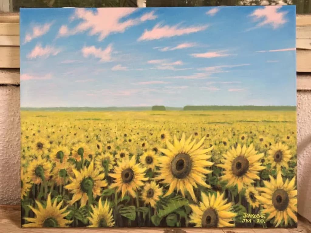 Sunflower Field Sky