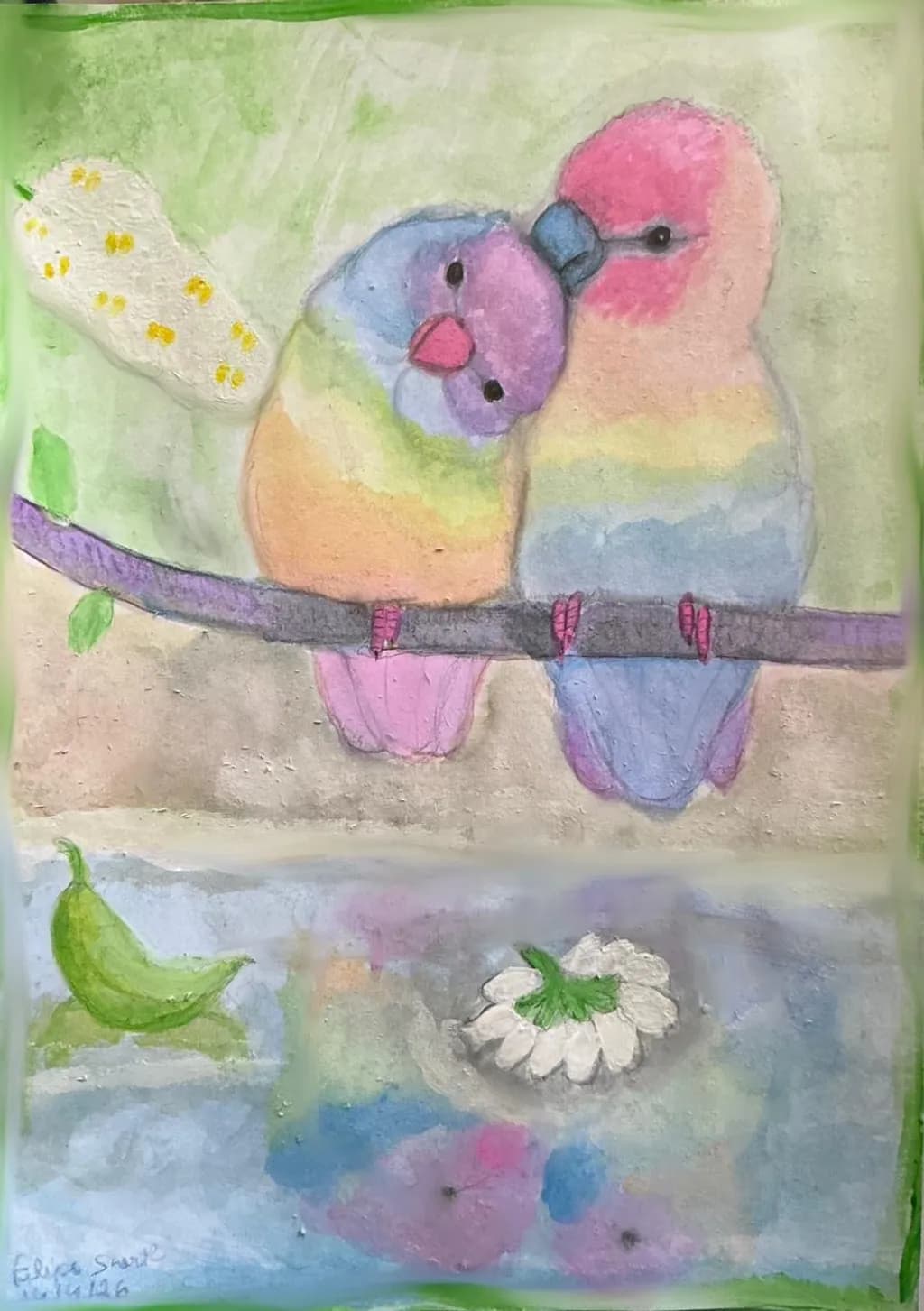 Rainbow Lovebirds