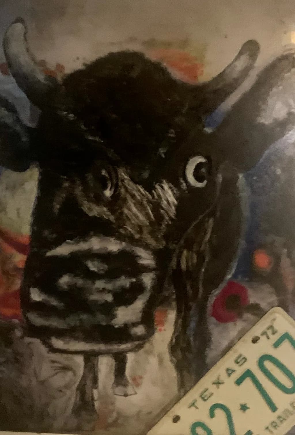 Texas Longhorn Gaze