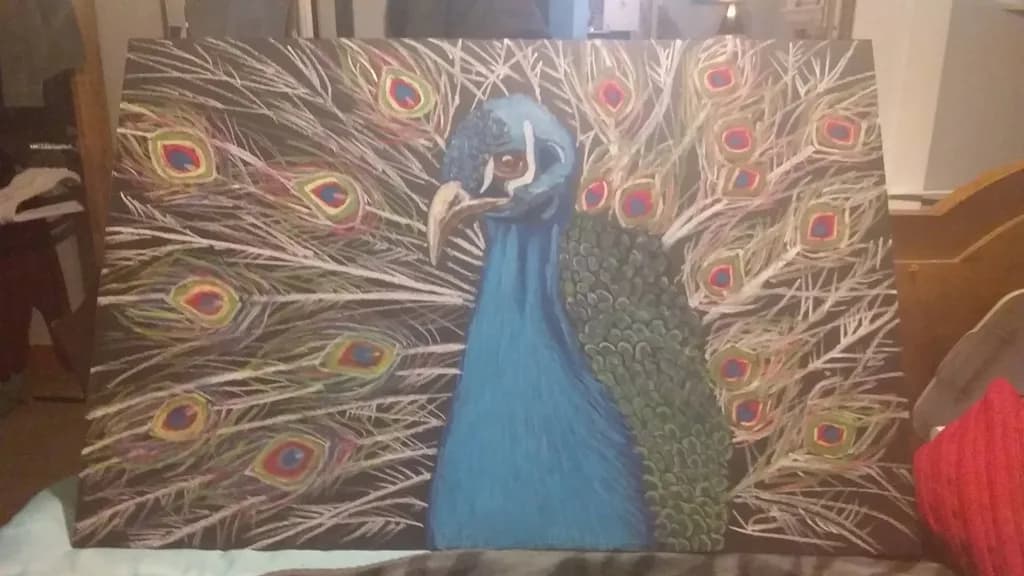 Peacock Display