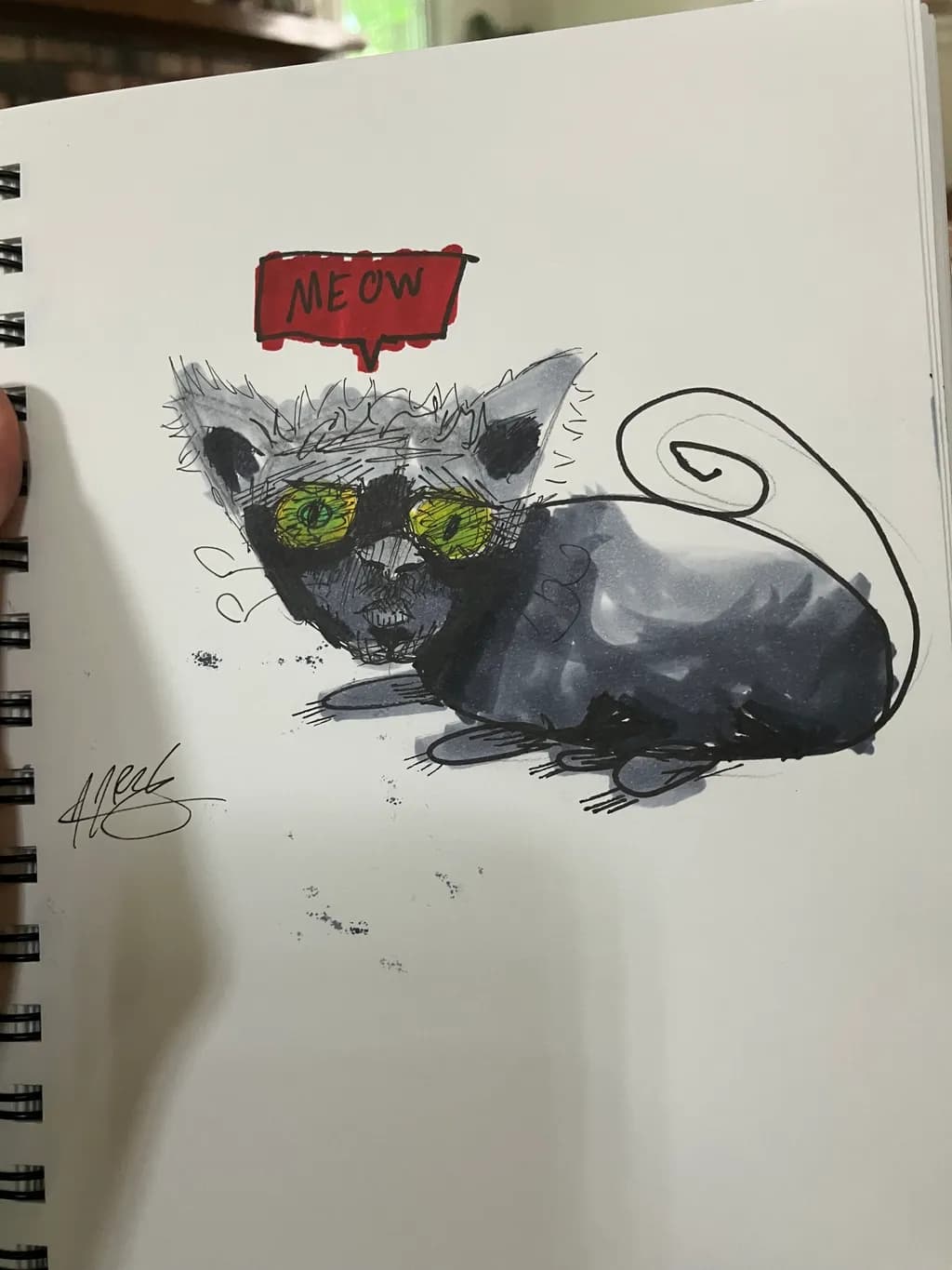 Curious Meow