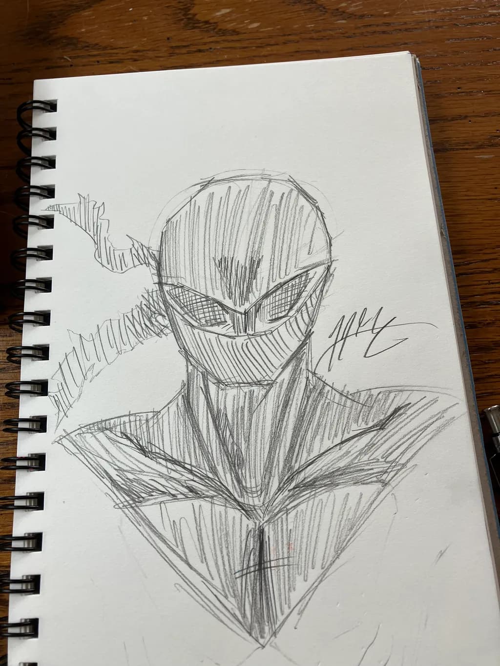 Shadowed Sentinel