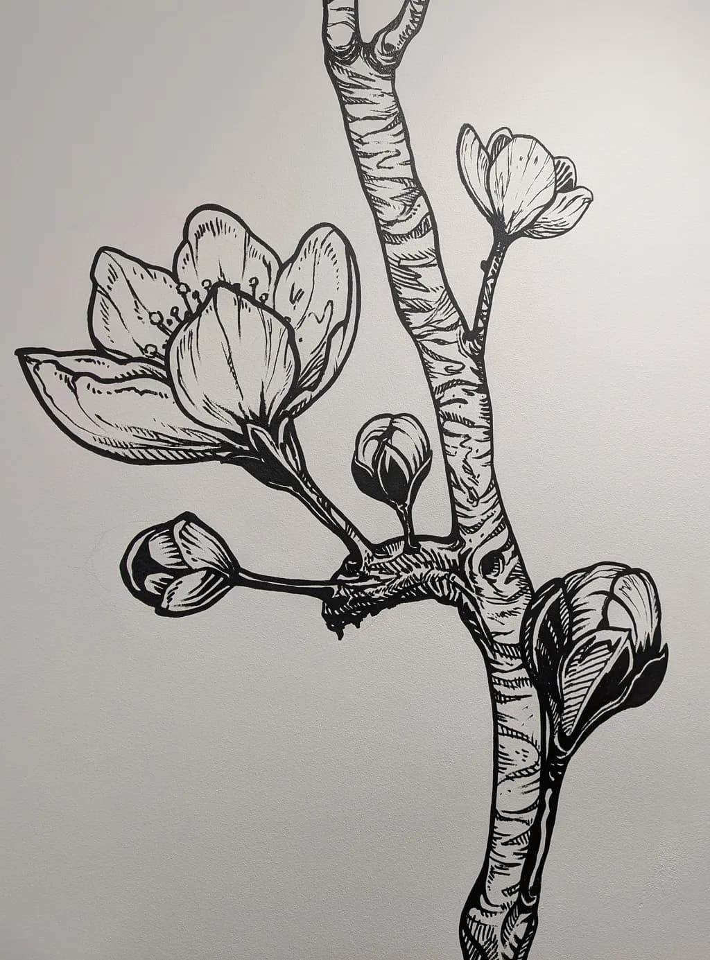 Cherry Branch