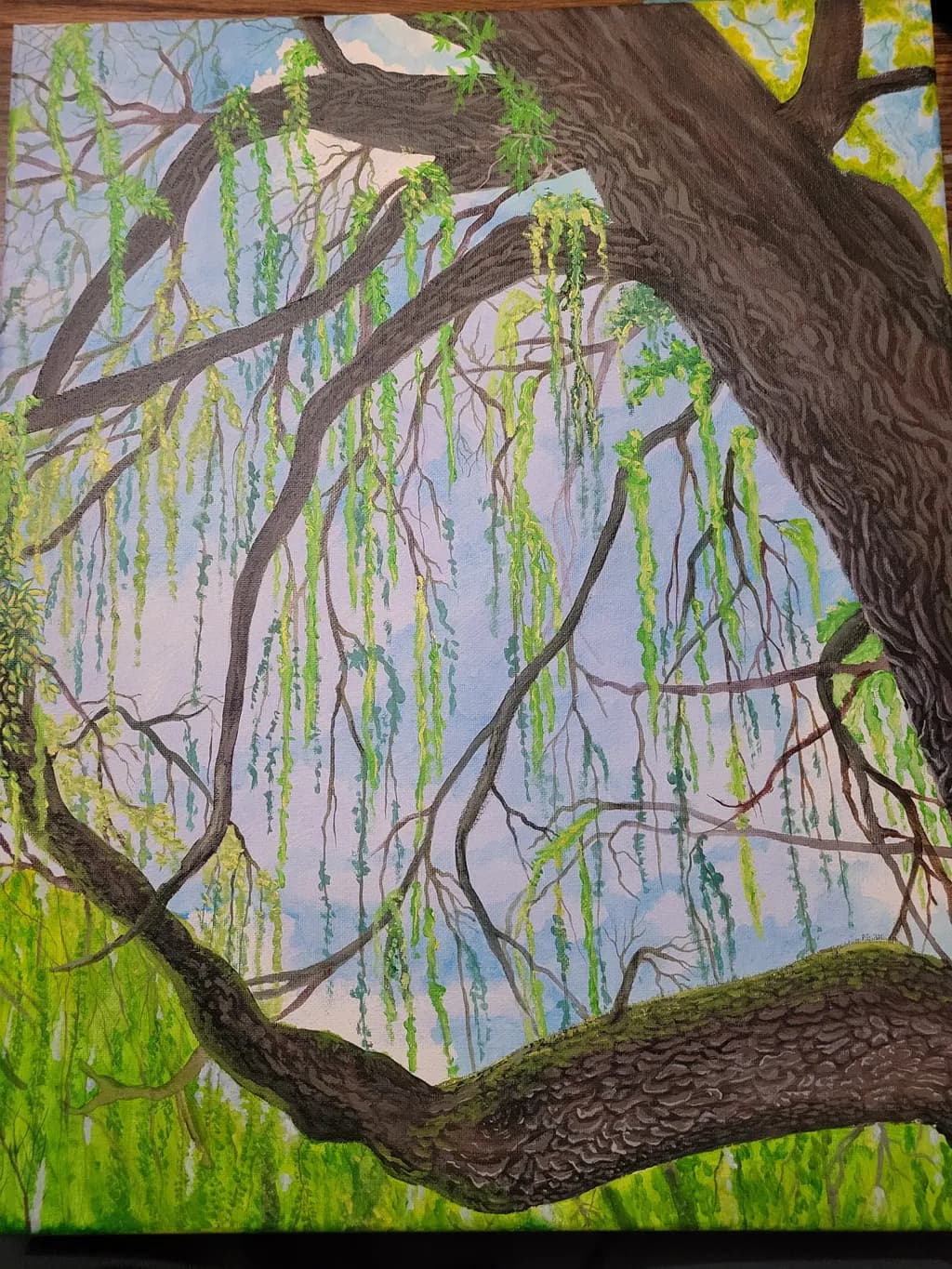Willow Veil
