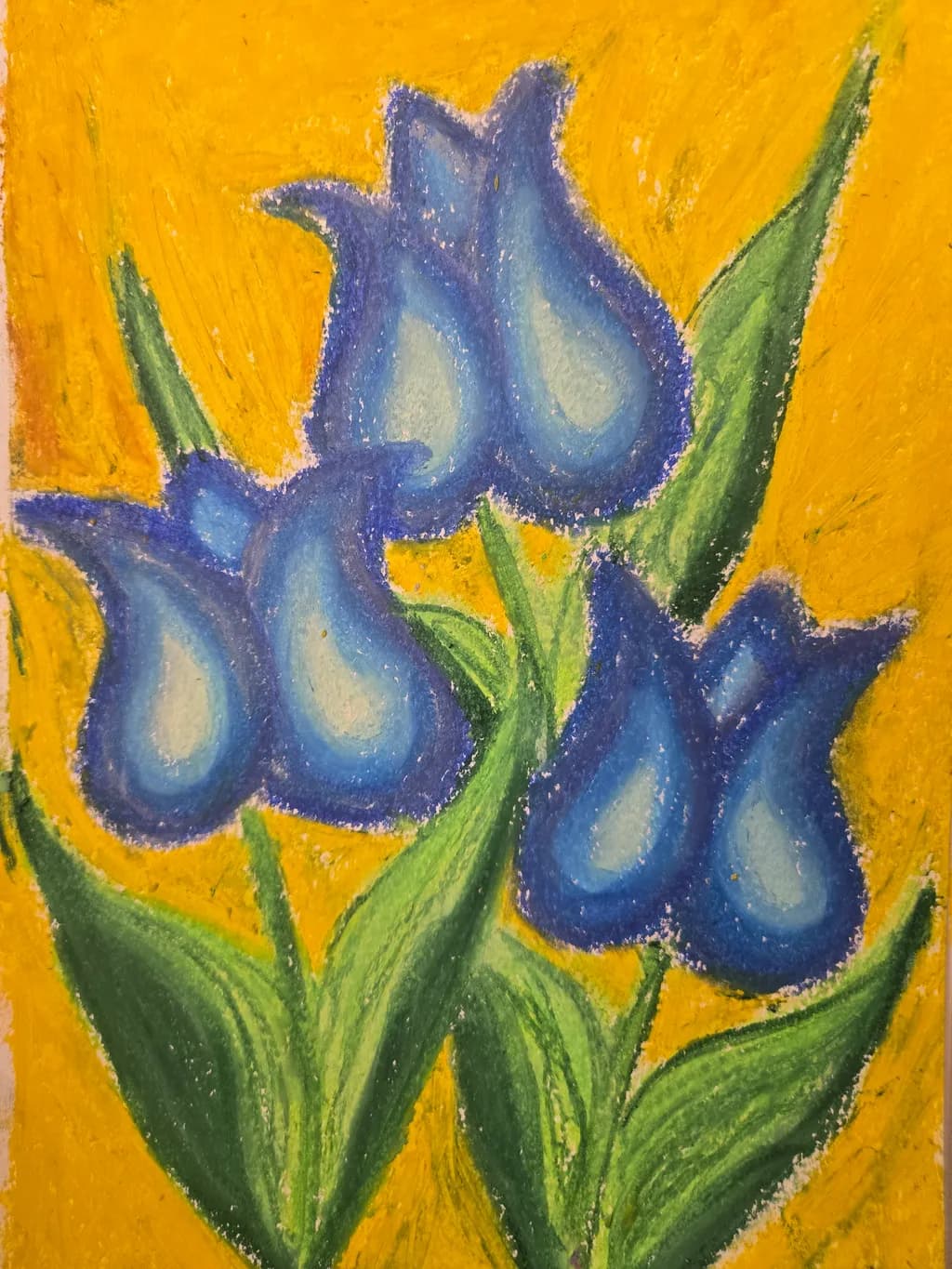 Blue Tulip Quartet