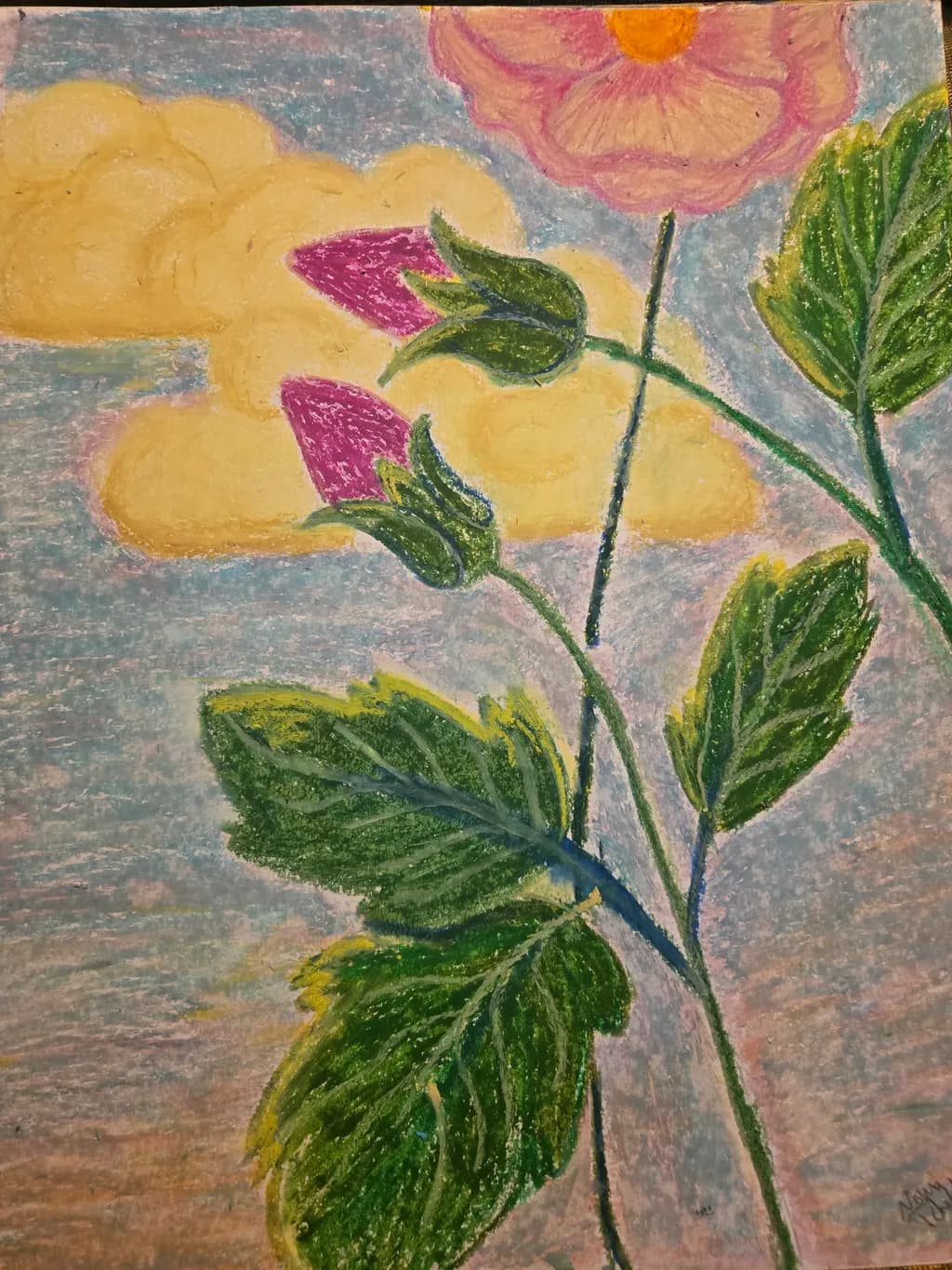 Flower Buds and Sky