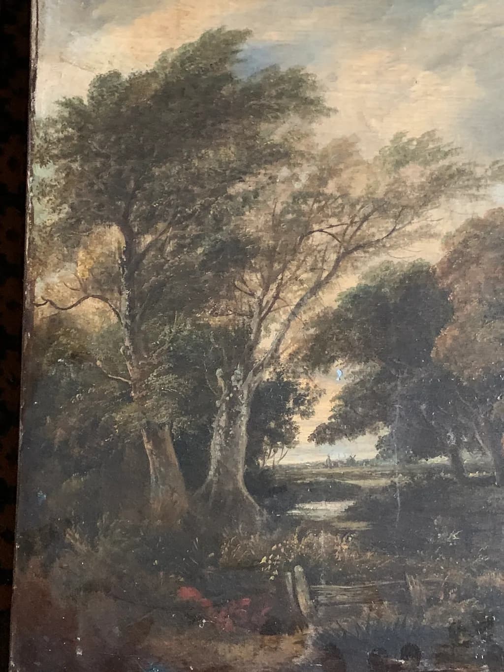 Woodland Clearing