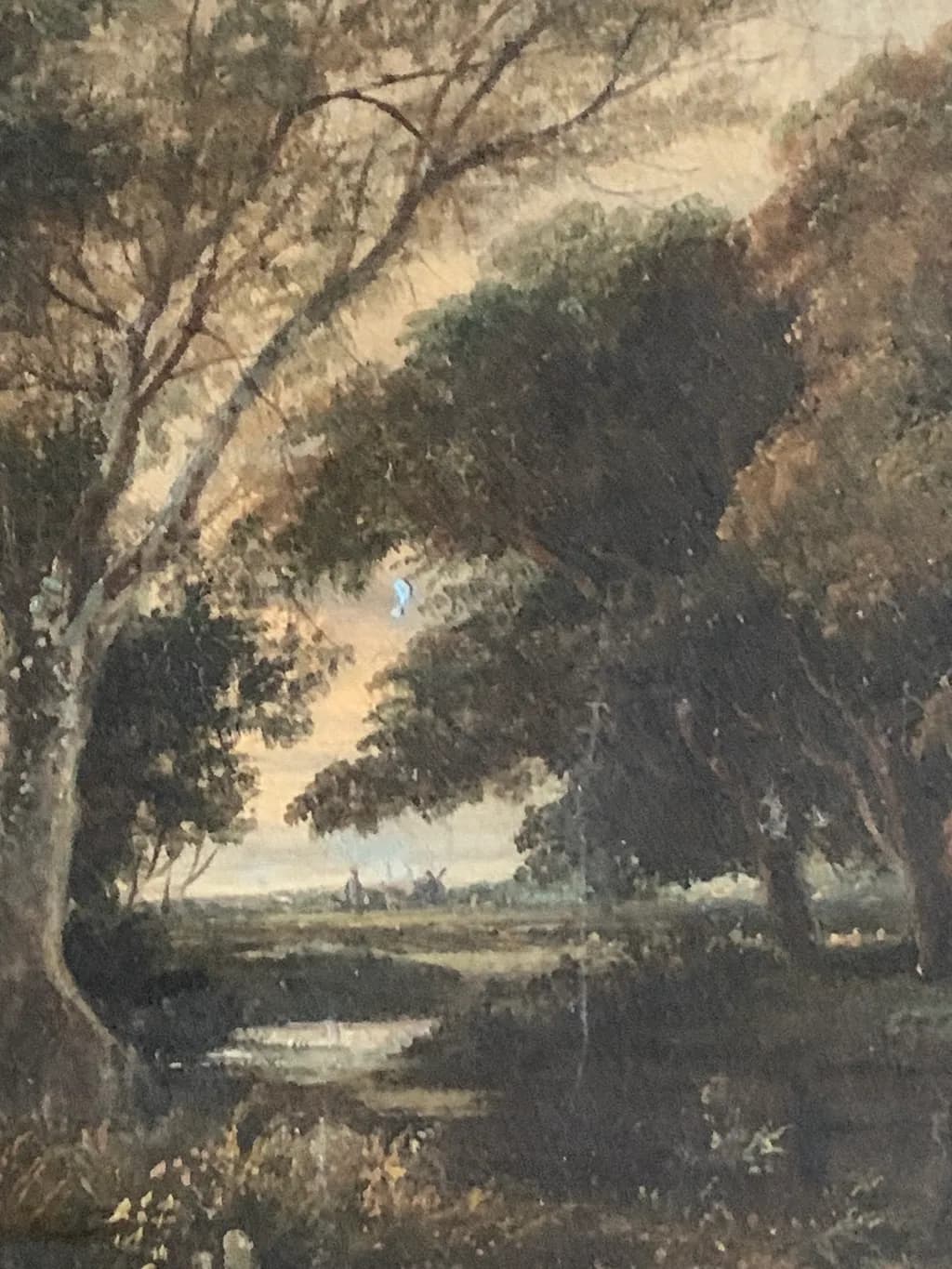 Dusky Woodland Path
