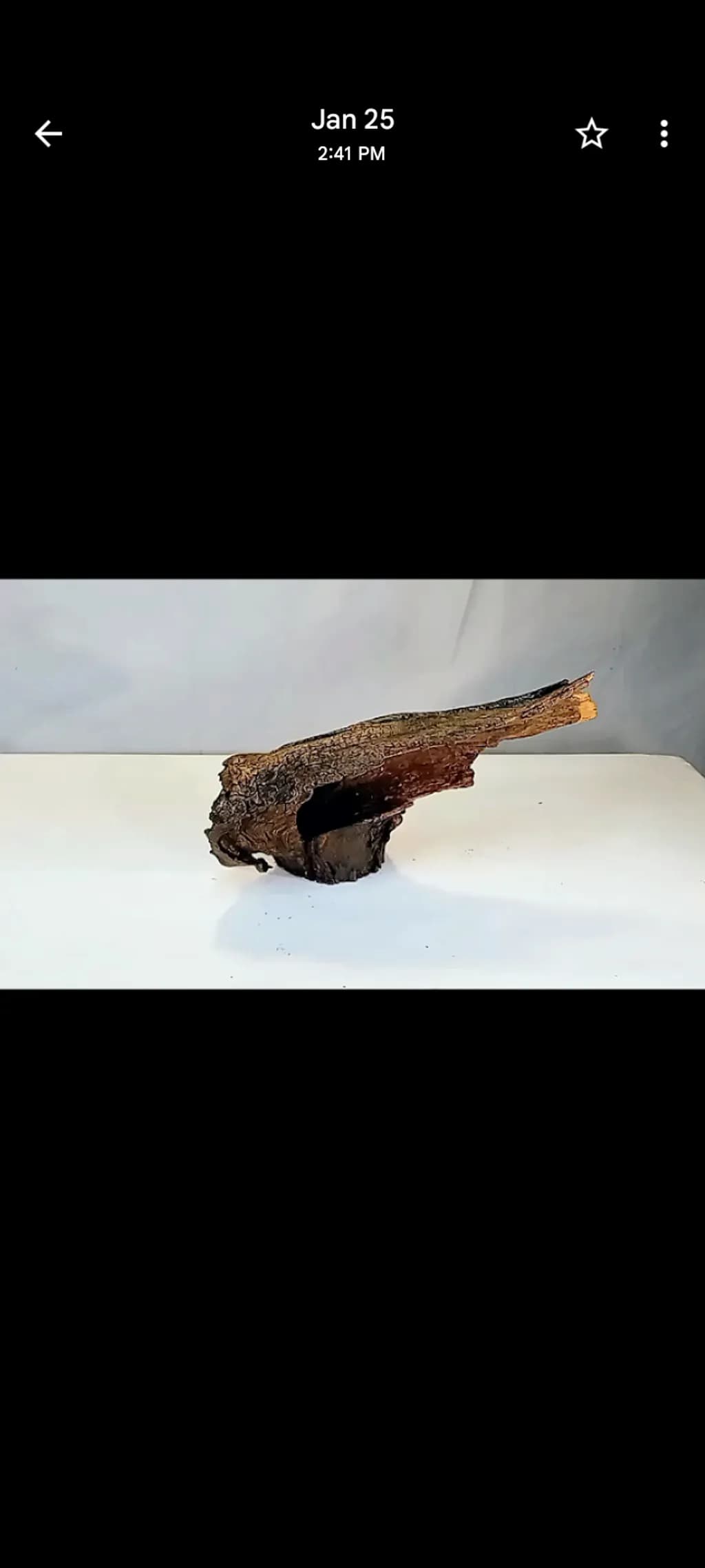 Weathered Driftwood