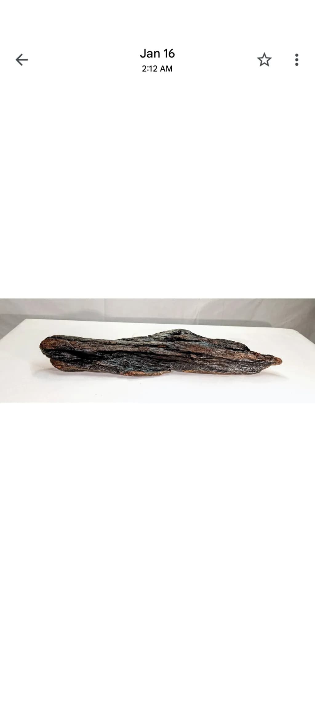 Worn Driftwood