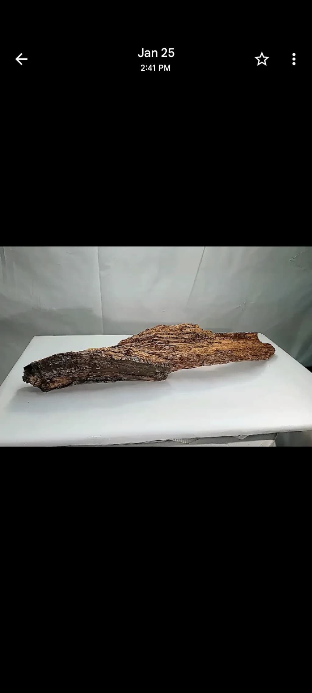 Weathered Driftwood