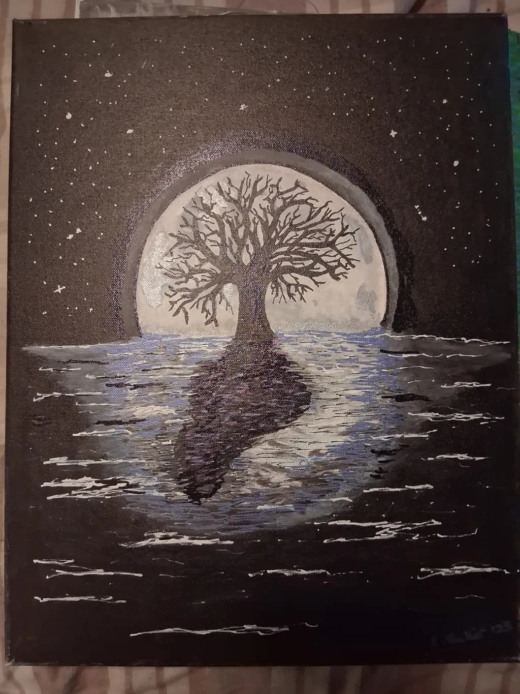 Moonlit Reflection