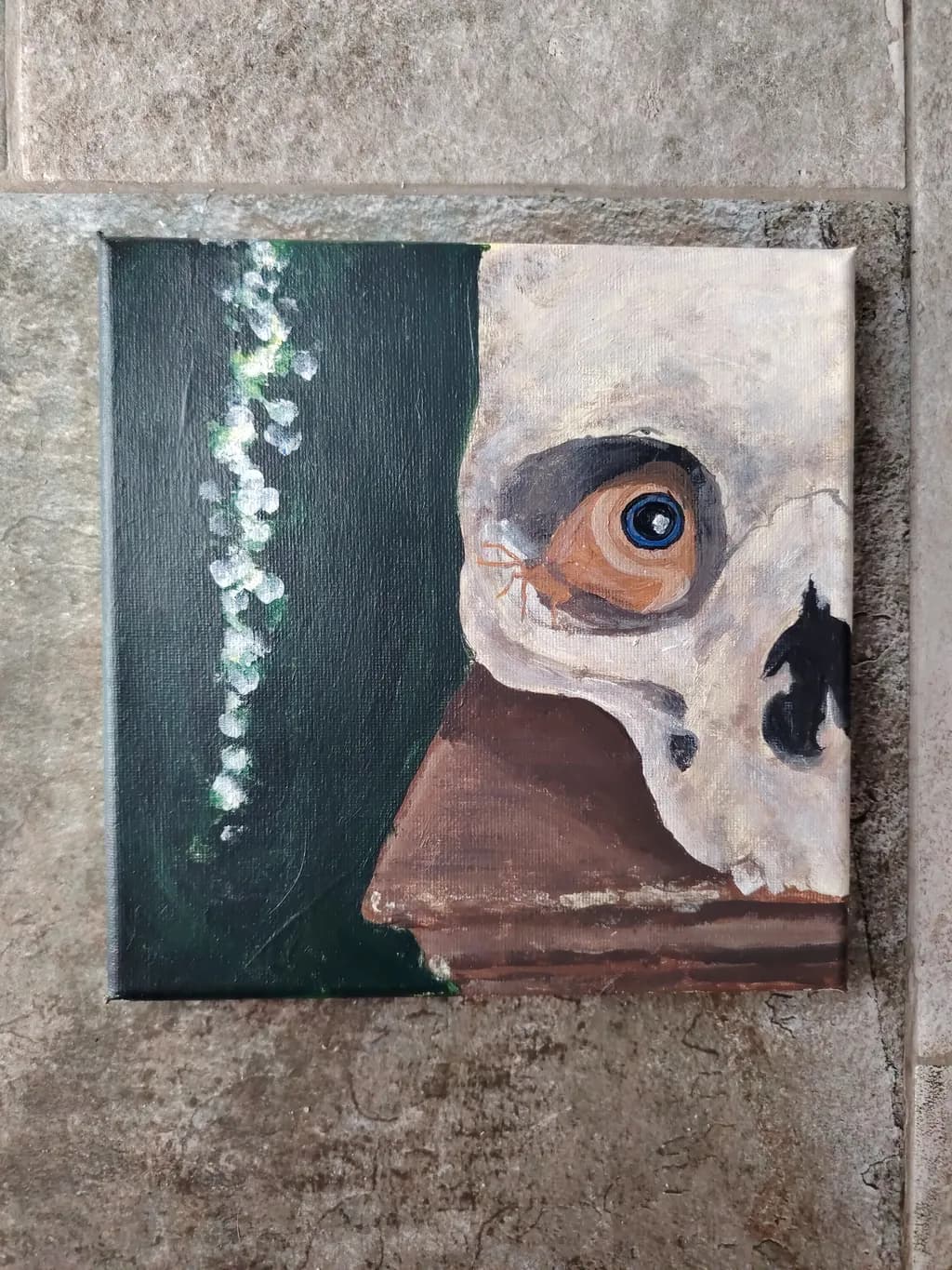 Skull Gaze