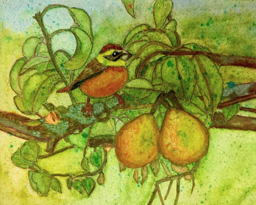 Pear Orchard Bird
