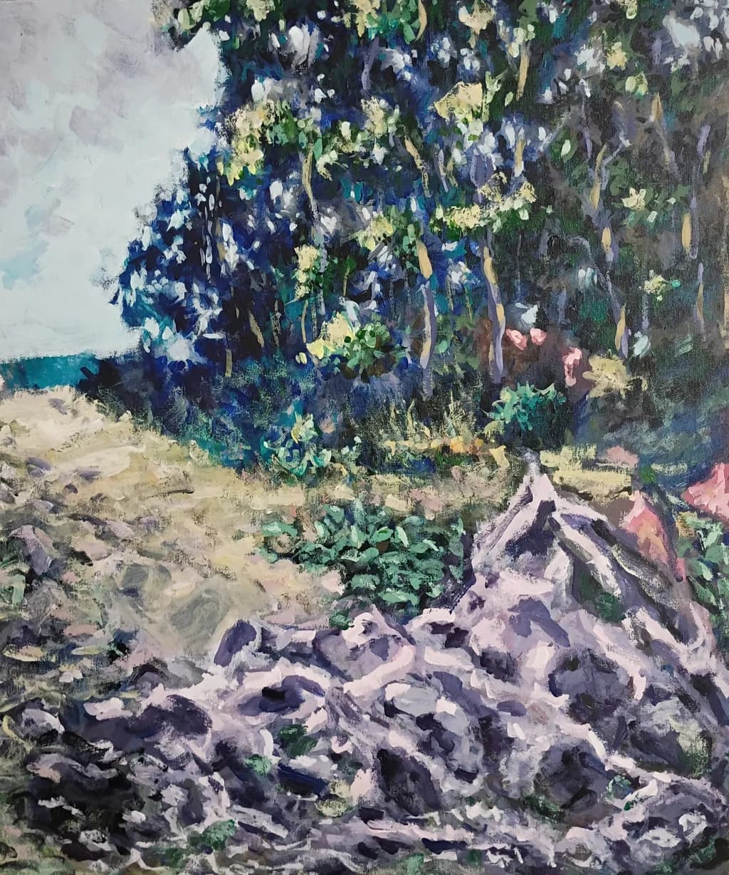Forest Edge Rocks