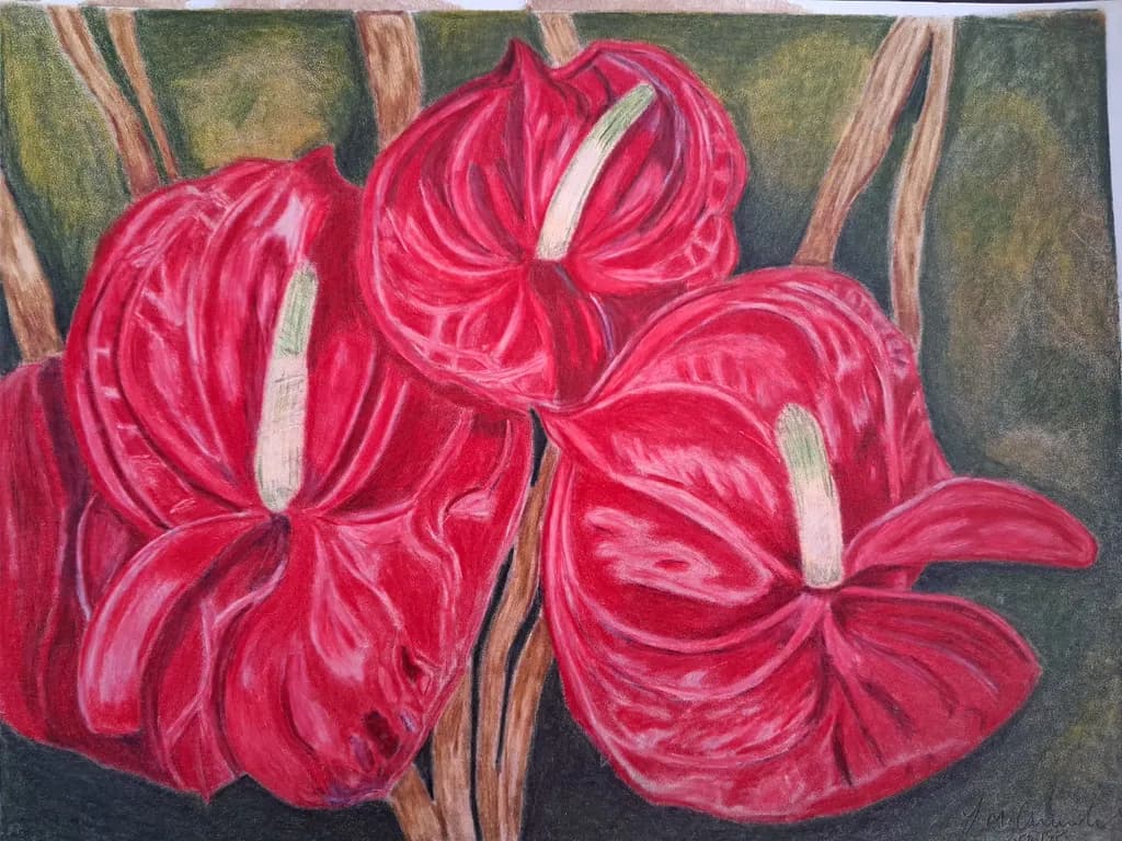 Red Anthurium Trio