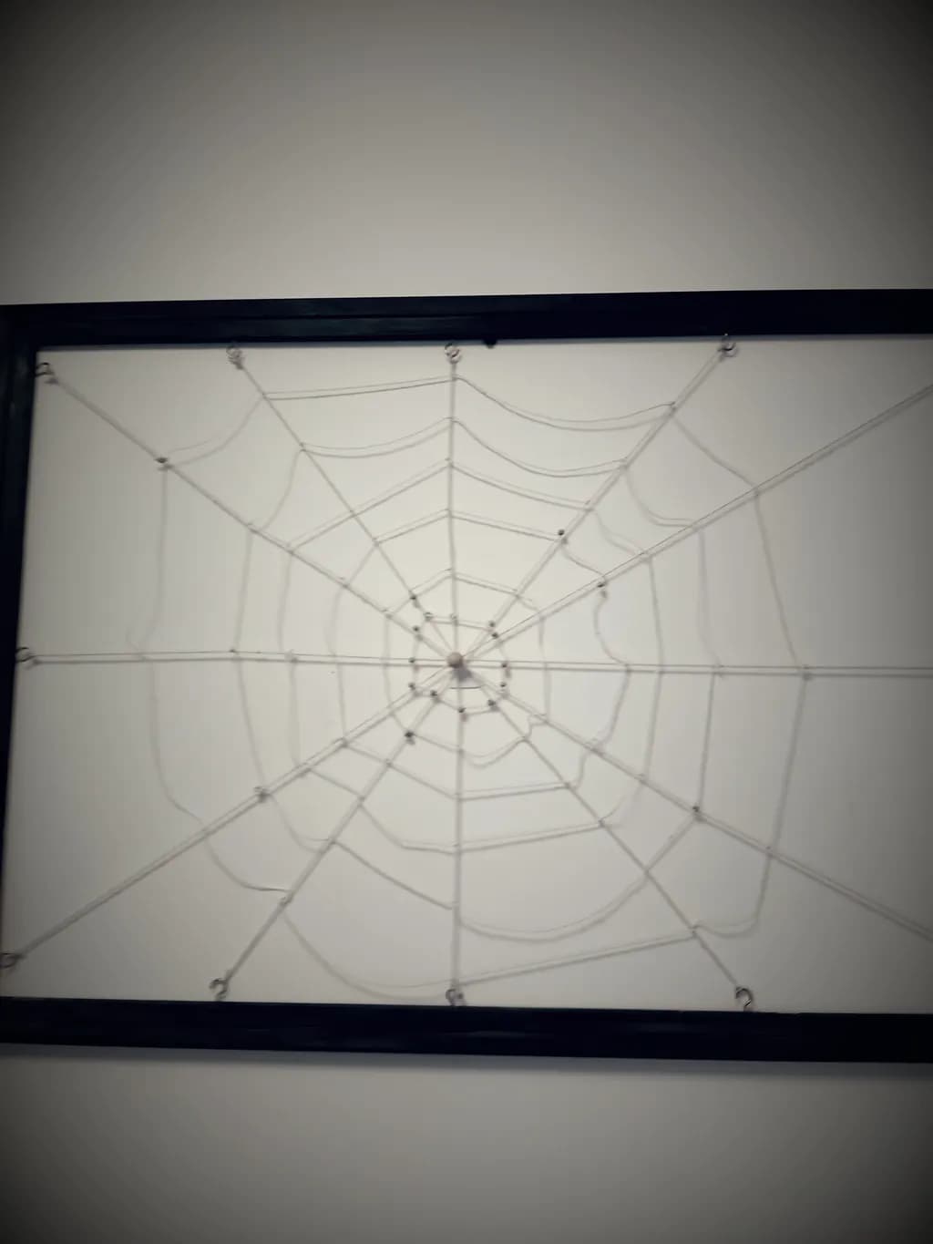 Tangled Web