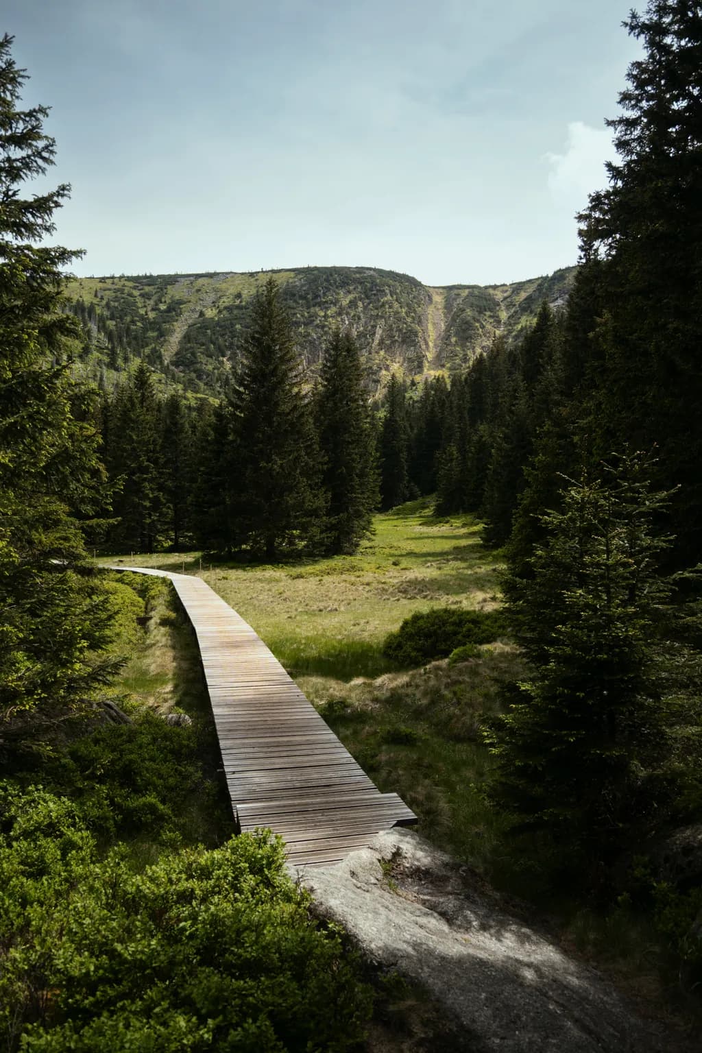 Mountain Pathway