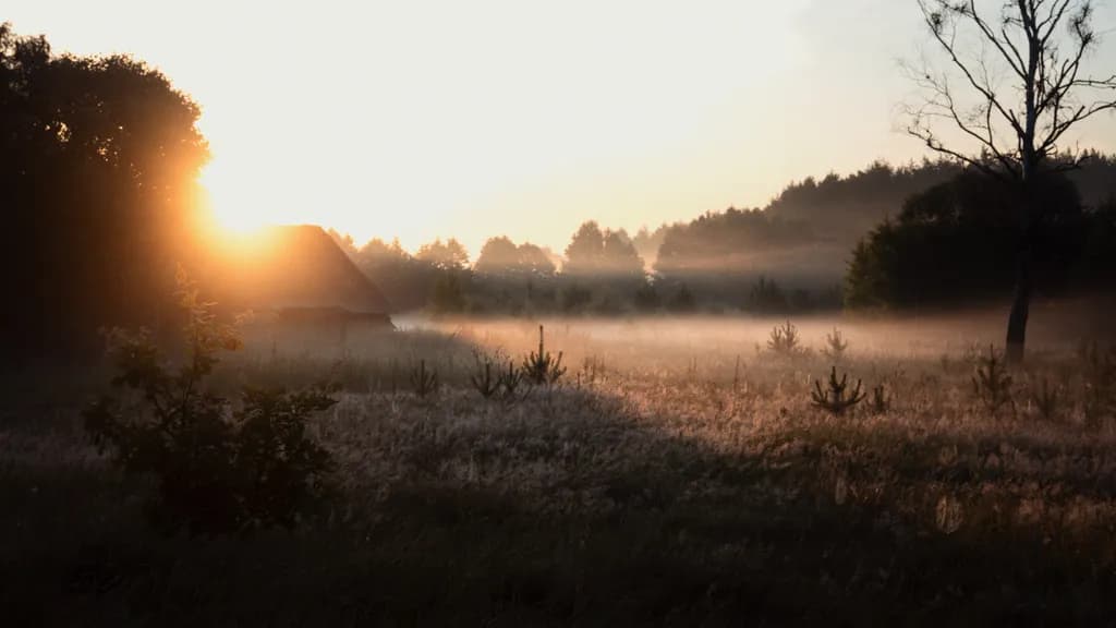 Morning Mist Glow