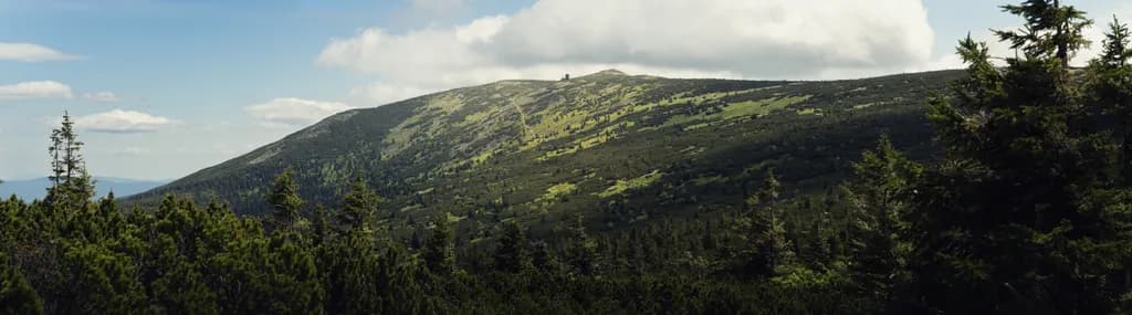 Ridge Outlook