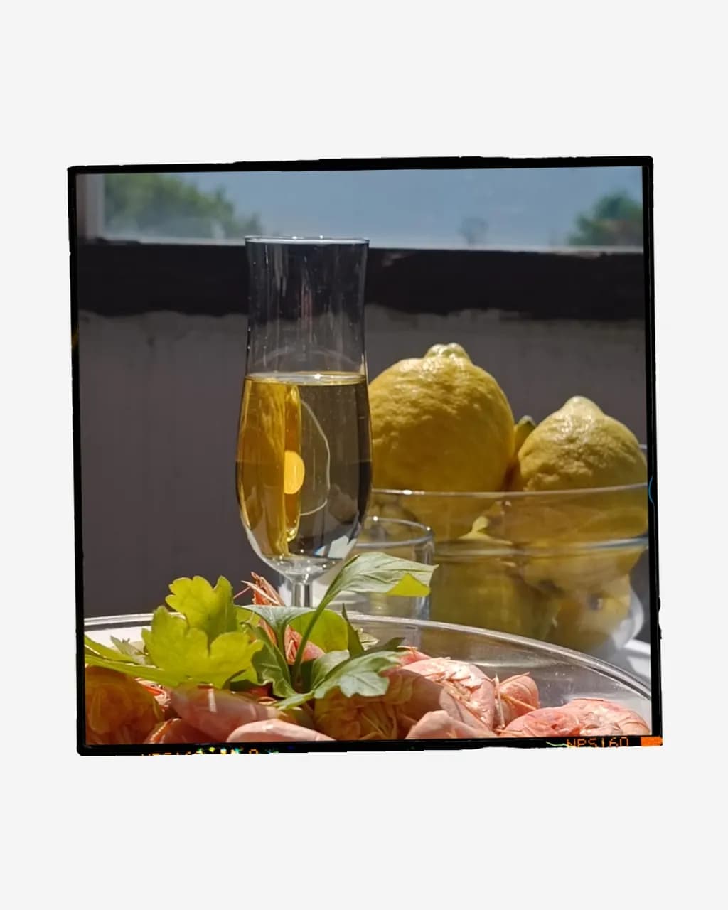 Lemon Citrus Feast