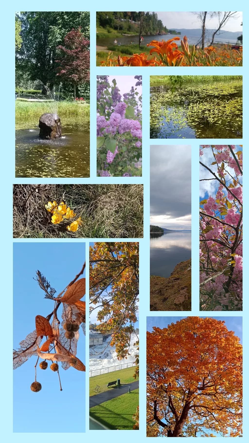 Seasons Collage