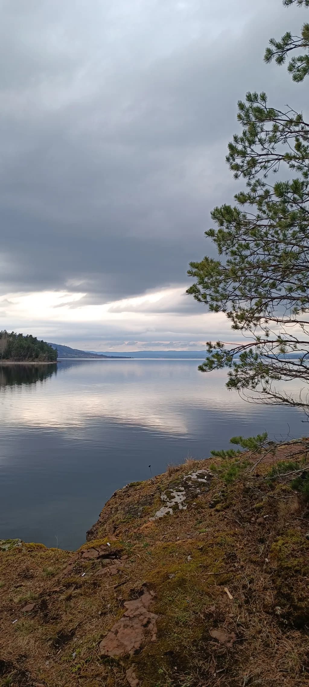 Quiet Lakeshore