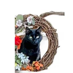 Black Cat Floral Wreath