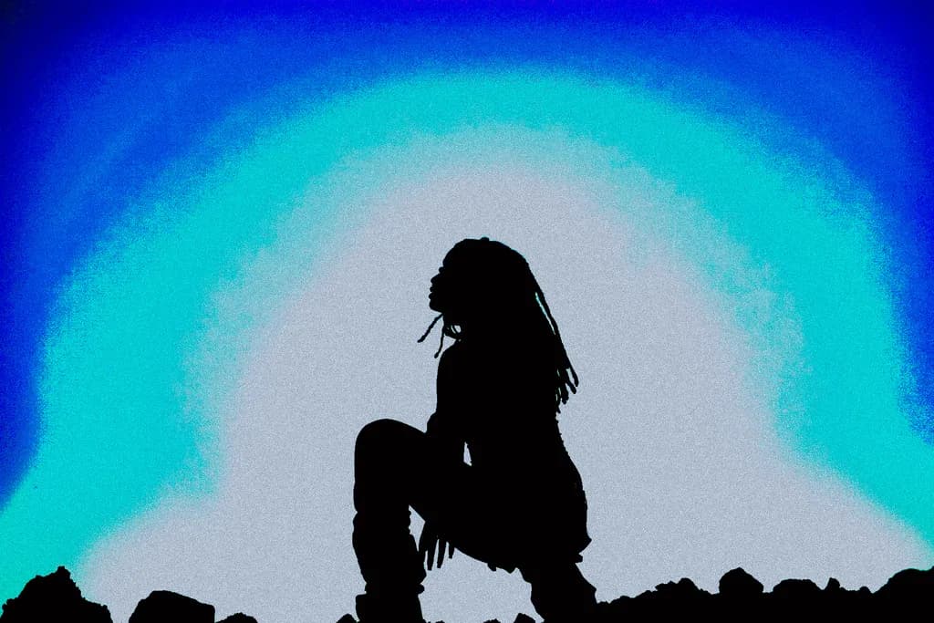 Shadowed Contemplation