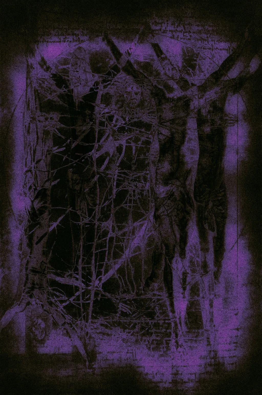 Veiled Silhouettes