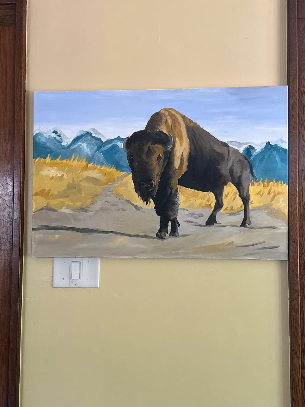 Mountain Bison Stroll