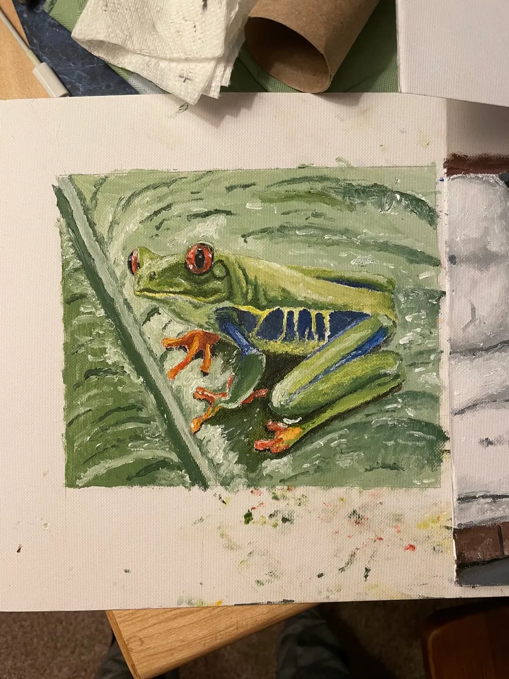 Red-Eyed Leaf Frog