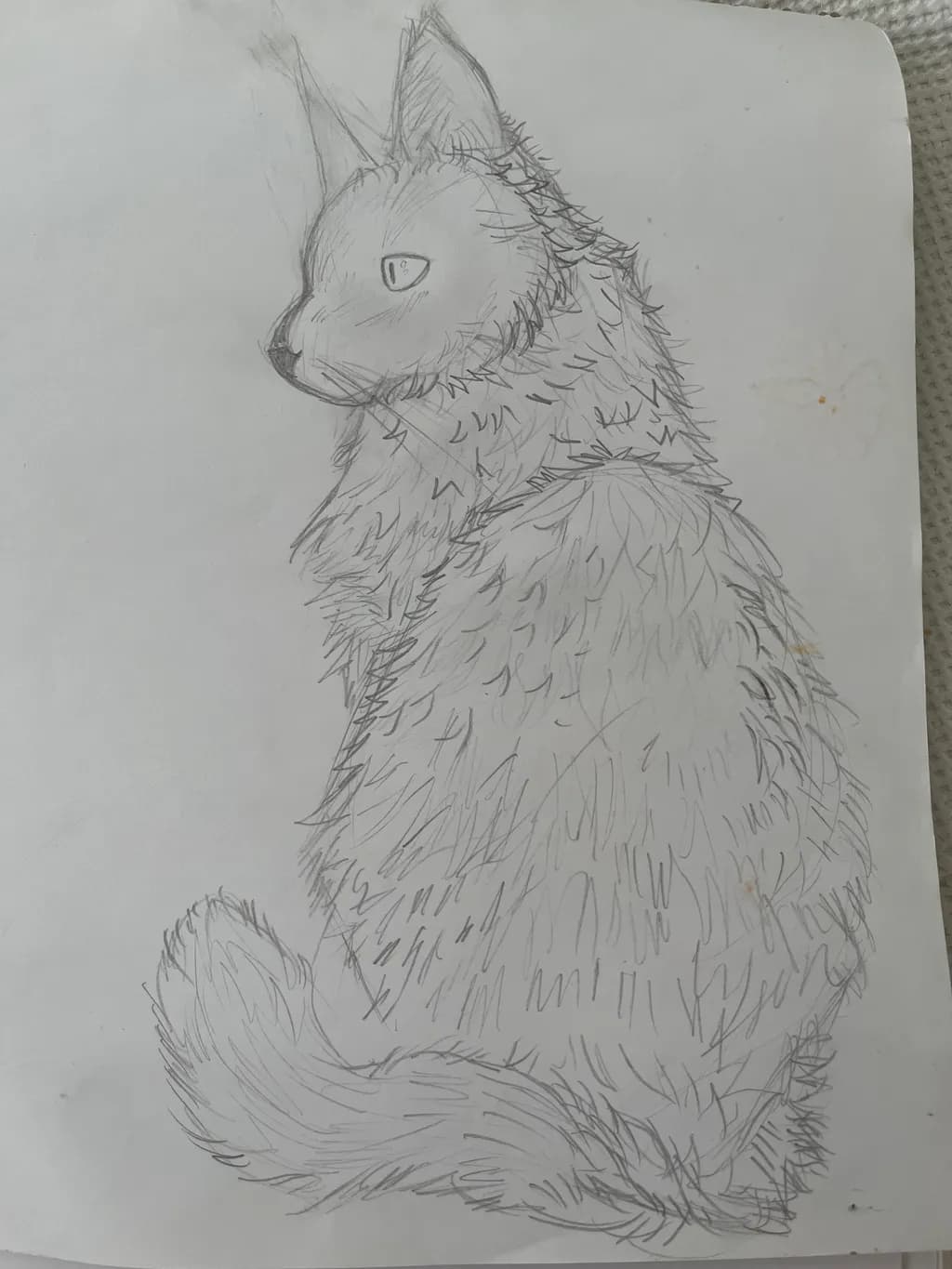 Furry Profile