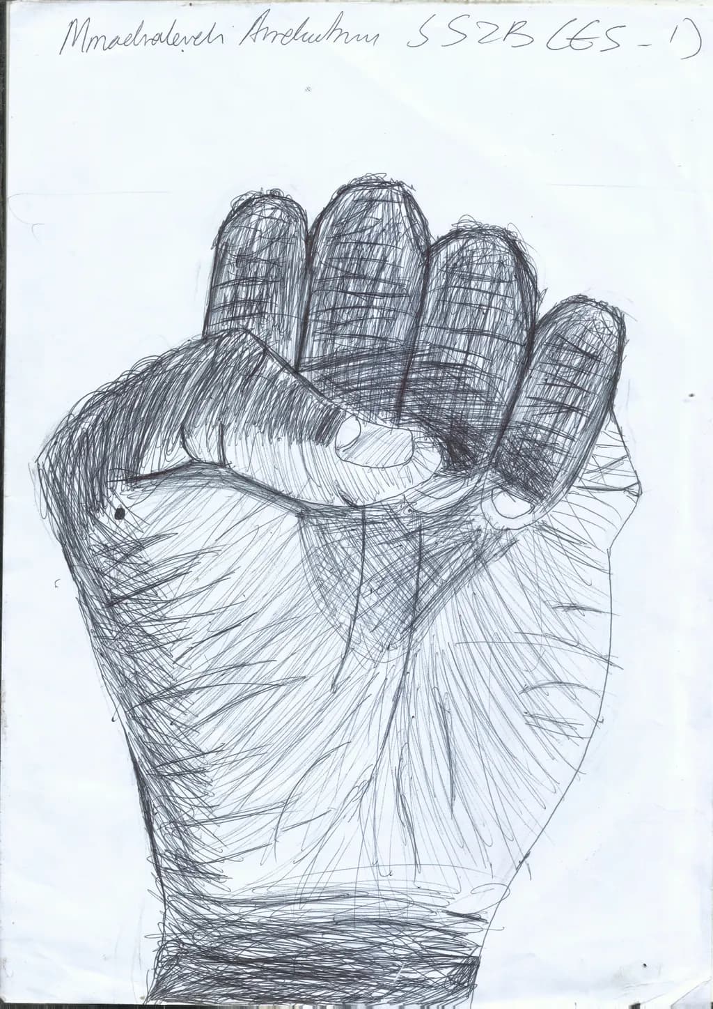 Hand Study