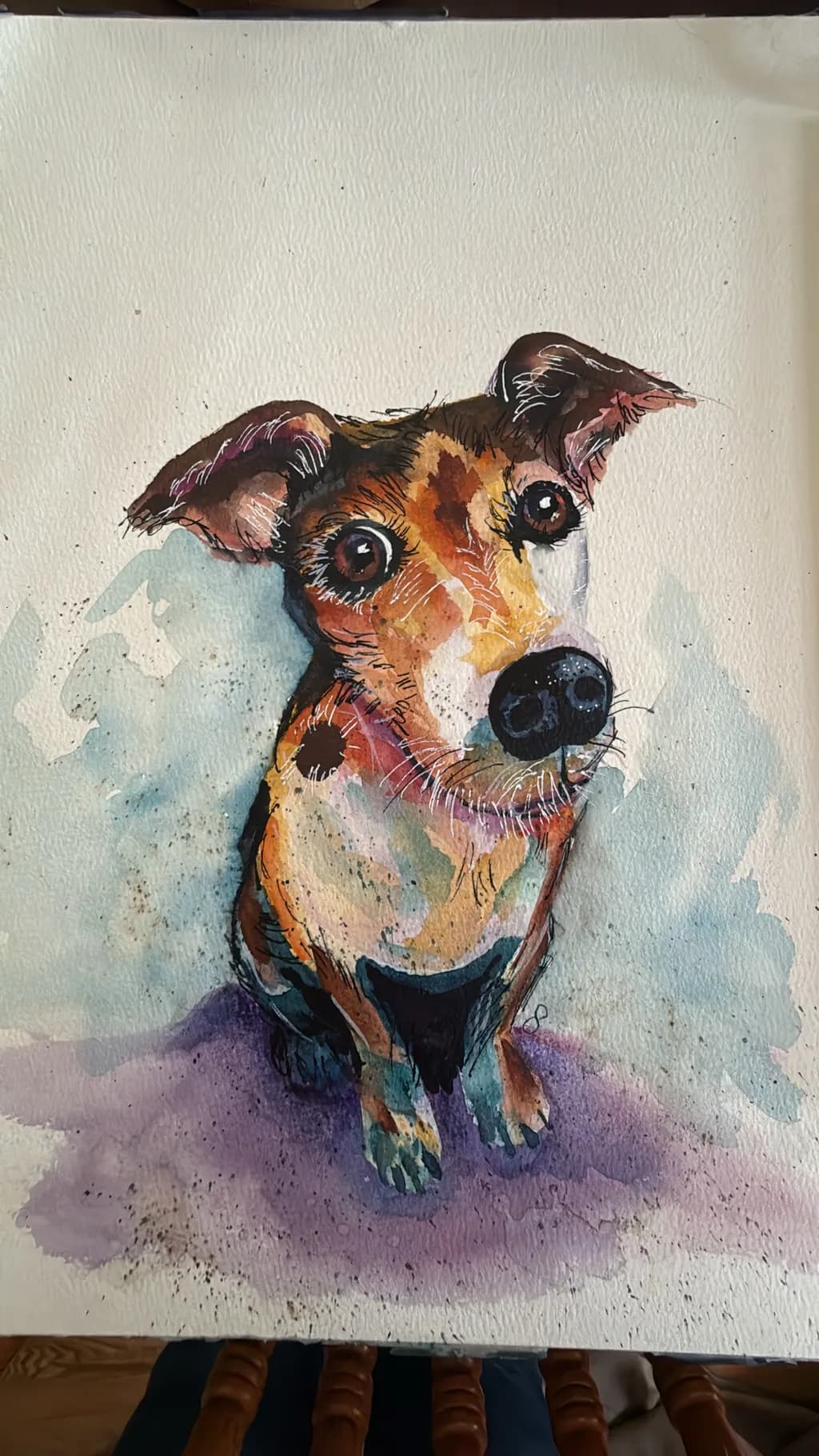 Curious Pup
