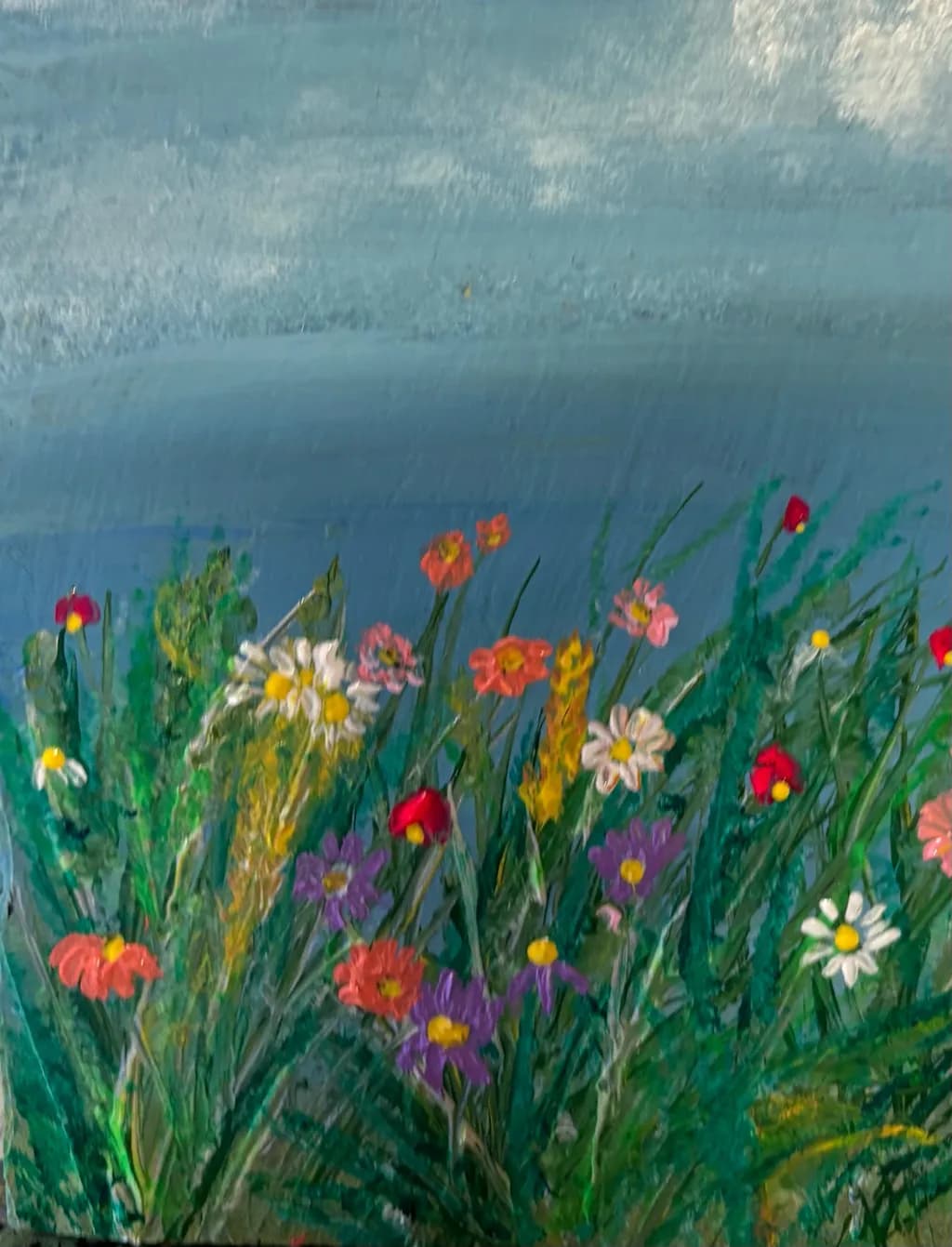 Wildflower Meadow