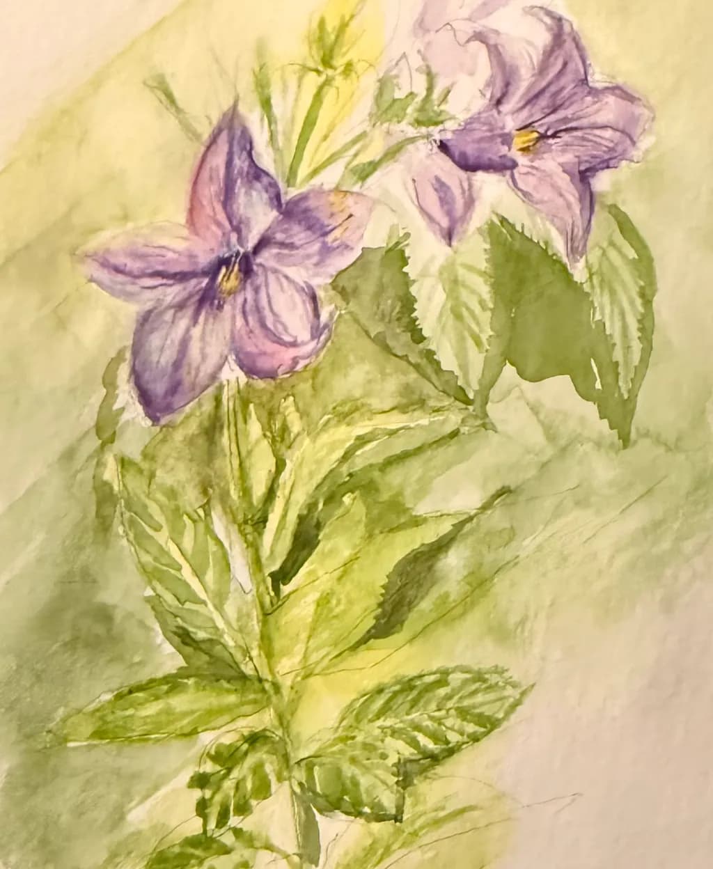 Lilac Blossoms